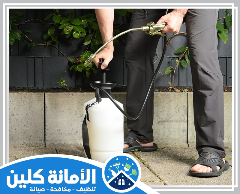 شركة مكافحة الصراصير ببقيق 0535521559 شركة الأمانة كلين شركة مكافحة الصراصير ببقيق متخصصة في مكافحة الصراصير تقدم خدمات فعّالة وسريعة لضمان بيئة نظيفة وصحية منزليًا وتجاريًا.