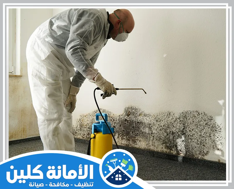 شركة مكافحة النمل الابيض ببقيق 0535521559 شركة الأمانة كلين شركة مكافحة النمل الابيض ببقيق متخصصة في القضاء الفعال على النمل الأبيض والحشرات الضارة باستخدام أحدث التقنيات.