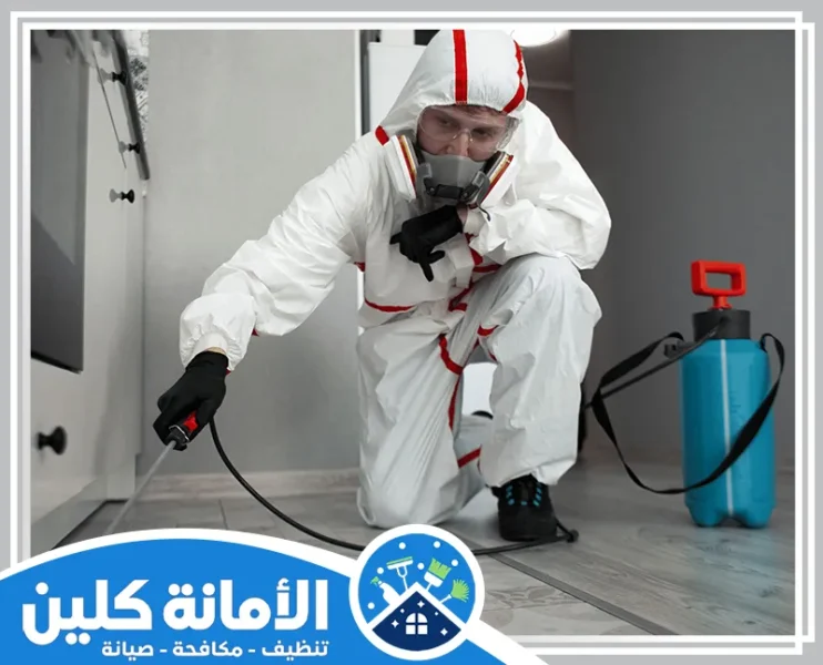 شركة مكافحة حشرات بالاحساء
