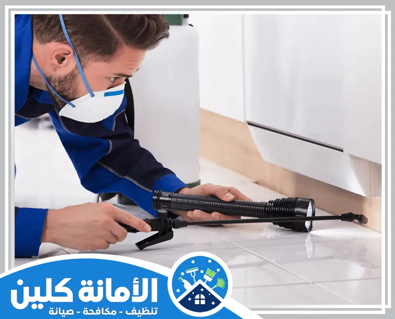 شركة مكافحة حشرات بالاحساء 0535521559 الأمانة كلين نقدم لك أفضل حلول مكافحة الحشرات بالاحساء للتخلص من الآفات بشكل فعال وآمن.