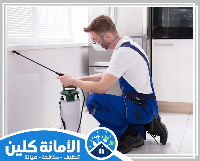 شركة مكافحة حشرات بالاحساء 0535521559 الأمانة كلين خدمات مكافحة بق الفراش بالاحساء توفر لك حلولًا سريعة وآمنة للتخلص من هذه الحشرة المزعجة.