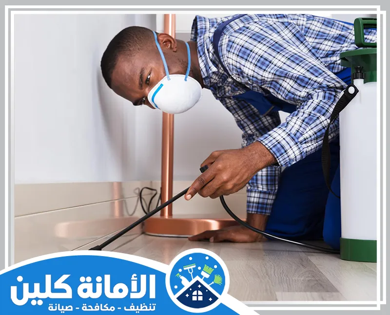 شركة مكافحة حشرات بالاحساء 0535521559 الأمانة كلين نقدم لك الحلول المثلى لـ مكافحة الرمة بالاحساء باستخدام أساليب آمنة وفعّالة لحماية منزلك