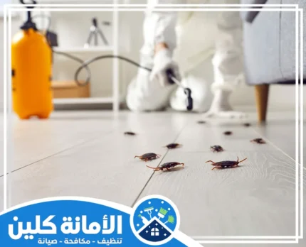 شركة مكافحة الصراصير بالدمام