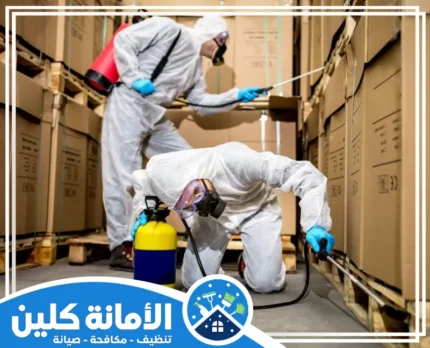 شركة مكافحة حشرات بالدمام