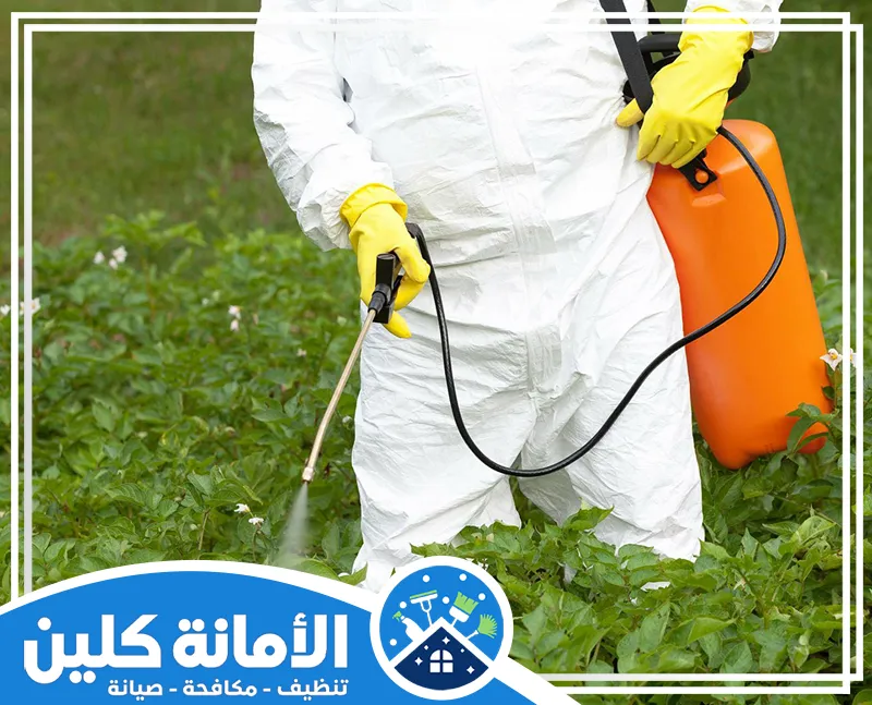 طرق رش المبيدات الحشرية بالدمام 0535521559 شركة الأمانة كلين عامل يرتدي زيًا واقيًا أبيض وقفازات صفراء، يستخدم رشاشًا ظهريًا لرش المحاصيل الزراعية بالمبيدات.