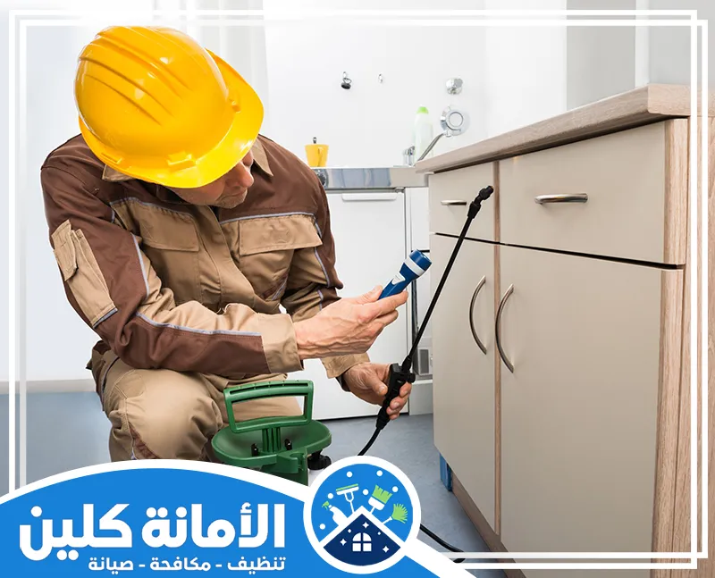 شركة مكافحة حشرات بالدمام 0535521559 الأمانة كلين فني مكافحة بق الفراش بالدمام يقوم برش مبيد حشري في الزوايا والأسطح داخل المطبخ باستخدام جهاز رش متخصص