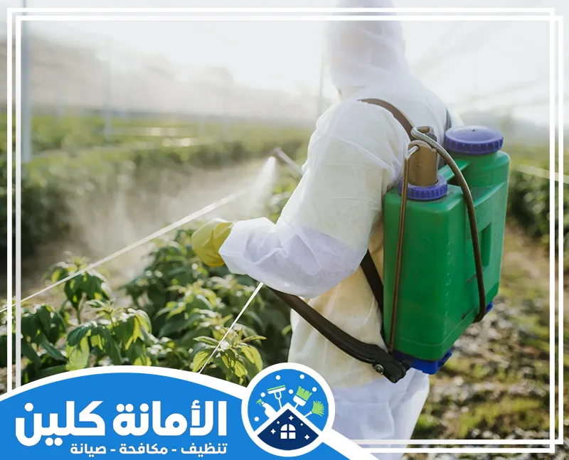 رش المنازل من الحشرات بالدمام 0535521559 شركة الأمانة كلين عامل بزي واقي ورشاش ظهري، يستخدم لرش المحاصيل الزراعية بالمبيدات لمكافحة الآفات داخل البيوت المحمية.