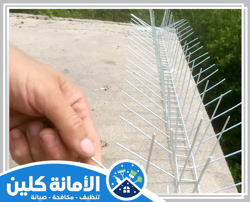 تركيب شبك مانع الحمام بالظهران 0535521559 شركة الأمانة كلين تركيب شبك مانع الحمام بالظهران لحماية المنازل والمباني من تواجد الحمام