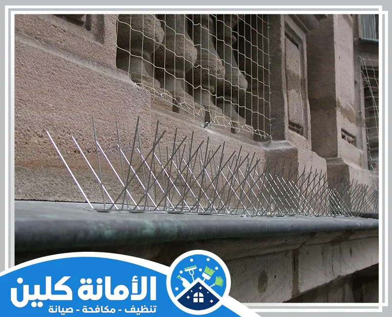 شركة مكافحة الطيور بالظهران 0535521559 شركة الأمانة كلين شركة مكافحة الطيور بالظهران متخصصة في مكافحة الطيور عن طريق تركيب الاشواك