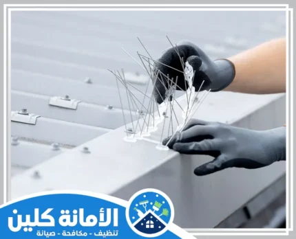 شركة تركيب طارد الحمام بالظهران