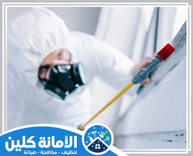 شركة مكافحة حشرات بالظهران 0535521559 الأمانة كلين مكافحة حشرات بالظهران باستخدام تقنيات متقدمة لضمان القضاء الفعال على الحشرات في كل الزوايا.