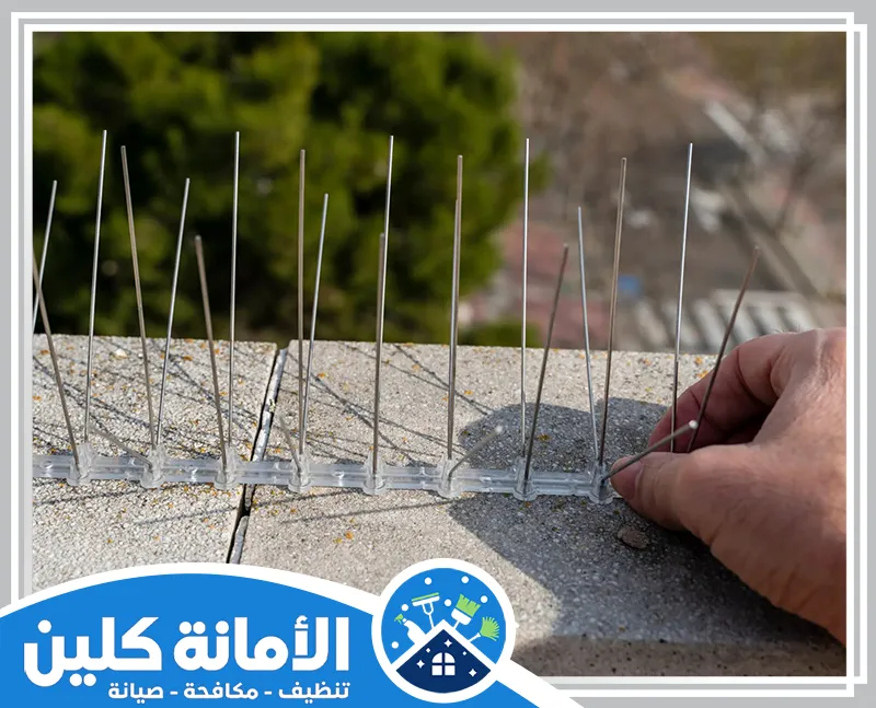 نصائح شركة تركيب طارد الحمام بالقطيف 0535521559 شركة الأمانة كلين شركة تركيب اشواك طارد الحمام بالقطيف للحفاظ على نظافة المباني ومنع تجمع الحمام