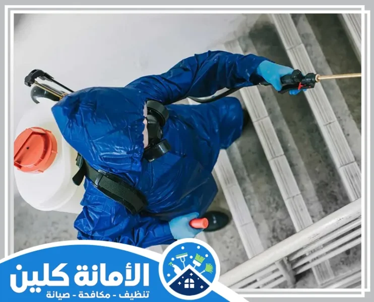 شركة مكافحة حشرات بالجبيل