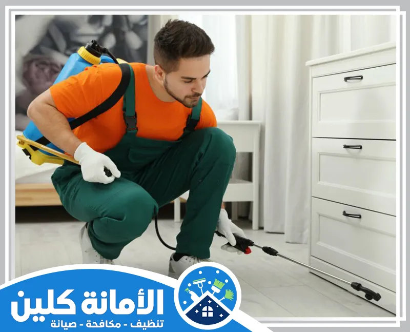 مكافحة حشرات بالجبيل 0535521559 الأمانة كلين فني شركتنا وهو يقوم بمكافحة حشرات بالجبيل بتركيز وجدية في أداء العمل، باستخدام تقنيات آمنة وفعالة لضمان أفضل النتائج.