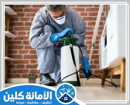 شركة مكافحة حشرات بالخبر