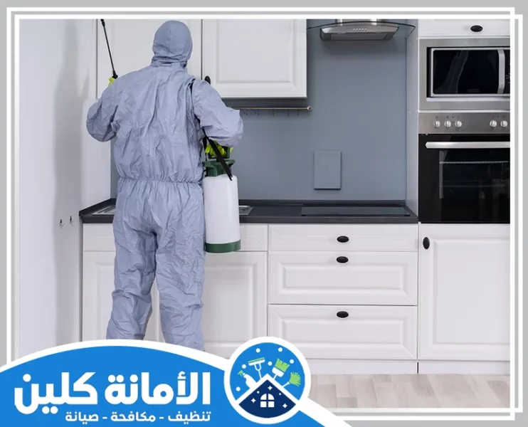 شركة مكافحة حشرات براس تنورة