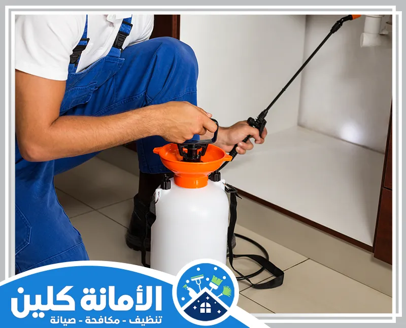شركة مكافحة حشرات بصفوى 0535521559 الأمانة كلين فني مكافحة حشرات بصفوى بدقة عالية، يقدم خدمات فعّالة باستخدام تقنيات متطورة