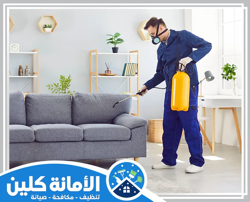 شركة مكافحة حشرات بصفوى 0535521559 الأمانة كلين شركة مكافحة حشرات بصفوى تقدم خدمات فعّالة وآمنة للقضاء على الحشرات باستخدام تقنيات حديثة