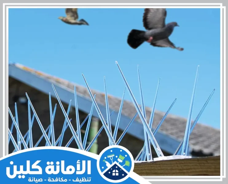 شركة تركيب طارد الحمام بالاحساء