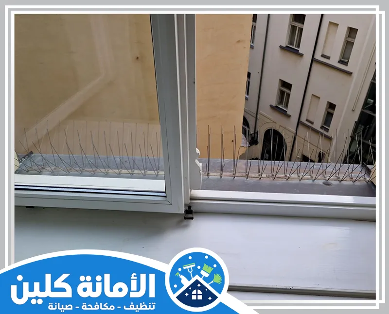 شركة تركيب طارد الحمام بالاحساء 0535521559 الأمانة كلين تركيب طارد الحمام بالاحساء على إطار النافذة لمنع الطيور من الوقوف والمحافظة على نظافة الواجهة.