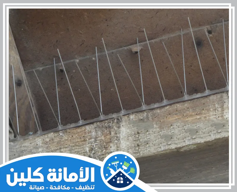 سيليكون طارد الحمام بالخبر 0535521559 الامانة كلين شركتنا توفر سيليكون طارد الحمام بالخبر بجودة عالية ومواصفات متميزة للحماية الفعّالة.