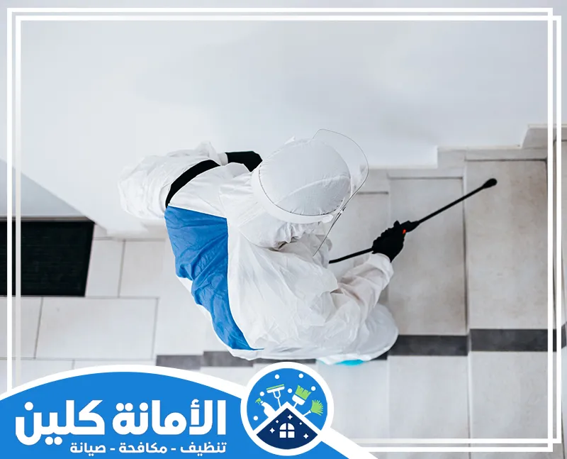 رش مبيدات للعتة بالدمام 0535521559 الامانة كلين الفني يقوم برش حشرة العتة بأفضل المبيدات الآمنة والفعالة لضمان القضاء التام عليها بسرعة وكفاءة.