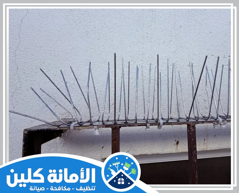 شركة مكافحة الحمام بالدمام 0535521559 الامانة كلين نوفر شركة مكافحة الحمام بالدمام باستخدام أفضل المعدات لضمان بيئة نظيفة وصحية.