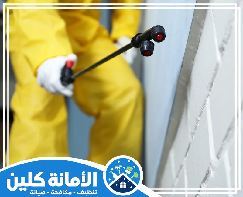 مكافحة الصراصير الصغيرة في المطبخ في الدمام 0535521559 الامانة كلين يقوم الفني بمكافحة الصراصير الصغيرة بالمنزل باستخدام أفضل المعدات لضمان القضاء التام.