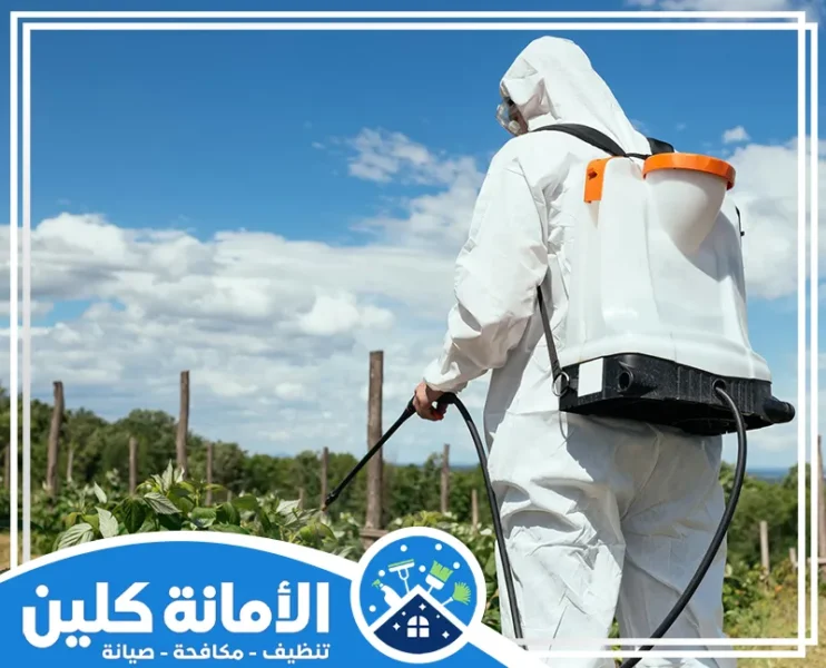 شركة رش مبيدات بالدمام