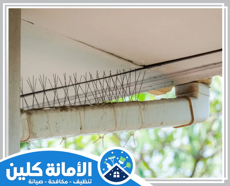 طارد الحمام من الشبابيك بالدمام 0535521559 الامانة كلين شركة الأمانة كلين توفر تركيب طارد الحمام من الشبابيك بالدمام بجودة ممتازة وبأفضل الأسعار.