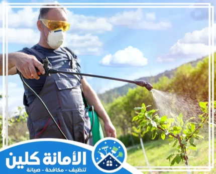 شركة تنظيف مجالس بالدمام