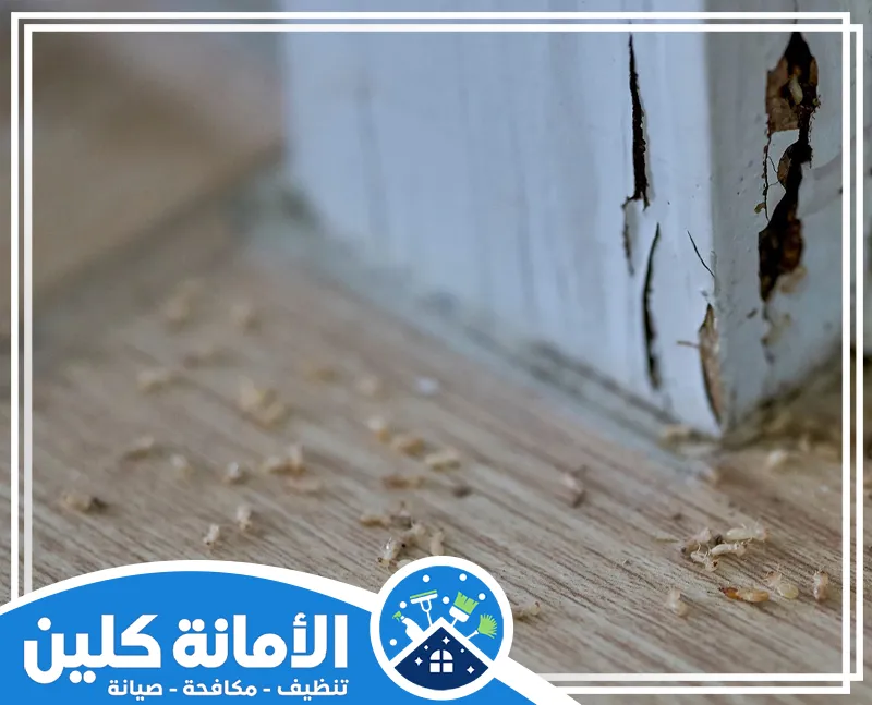 مكافحة النمل في الاراضي الزراعية بالدمام 0535521559 الامانة كلين شركة متخصصة بتوفير أفضل خدمات مكافحة النمل في الأراضي الزراعية بالدمام باستخدام أفضل المبيدات وفرق فنية محترفة.
