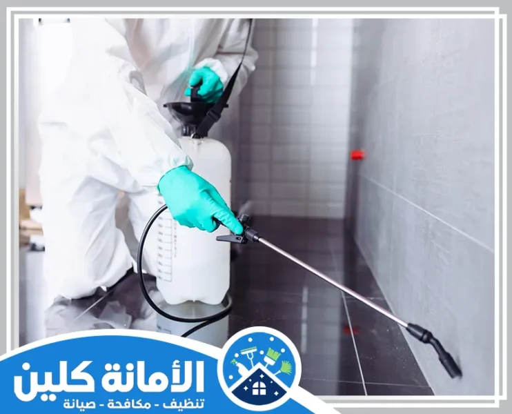 شركة مكافحة حشرات بالظهران