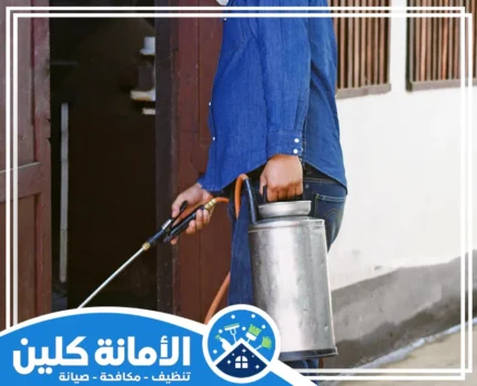 شركة مكافحة حشرات بالقطيف