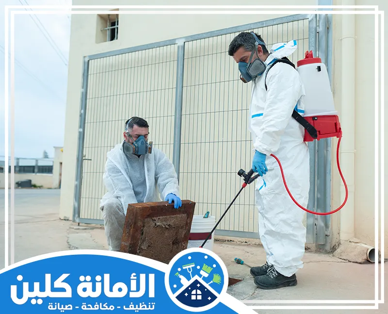 شركة رش مبيدات بالقطيف 0535521559 الامانة كلين يقوم العمال برش مبيدات بالقطيف باستخدام أفضل المعدات لضمان مكافحة الحشرات بفعالية عالية.
