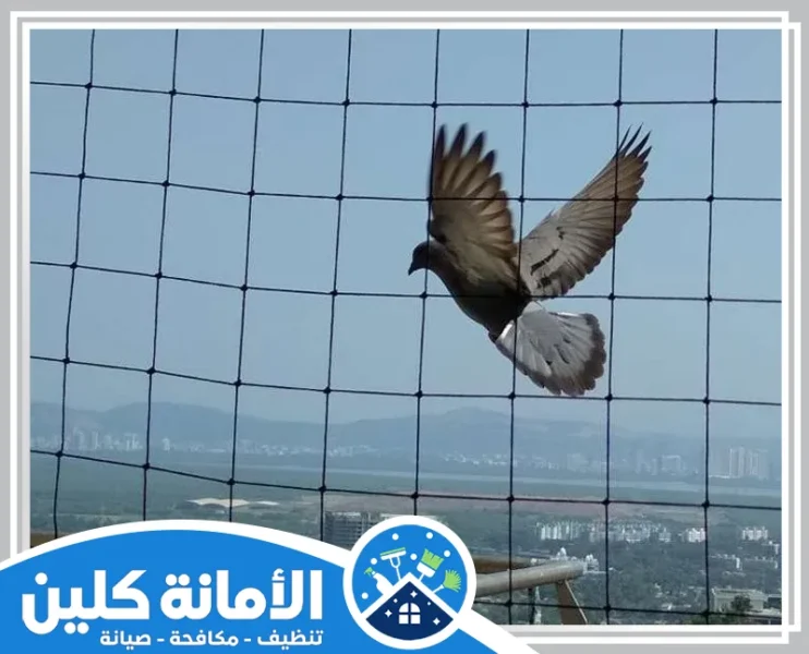 شركة تركيب طارد الحمام بالدمام